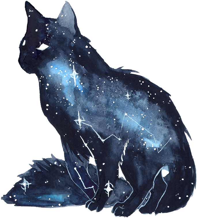 cat kitten galaxy watercolor space stars freetoedit...