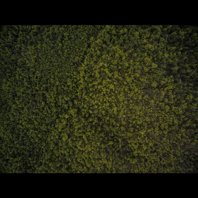 From Ashes We Will Rise Gif By Tim Shufflebotham From Ashes We Will Rise Gif By Tim Shufflebotham