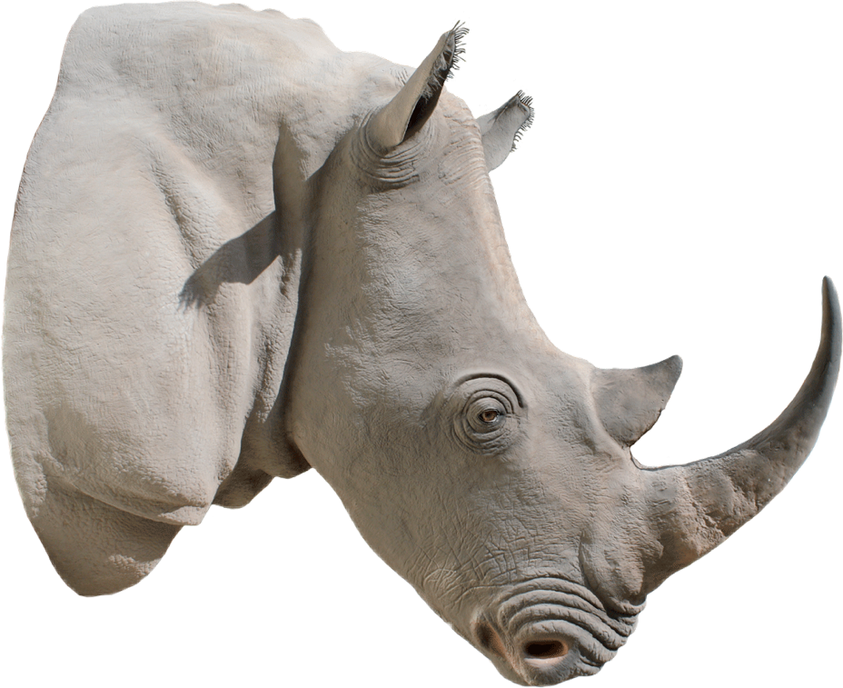 animal rhino freetoedit #animal #rhino sticker by @eddytward