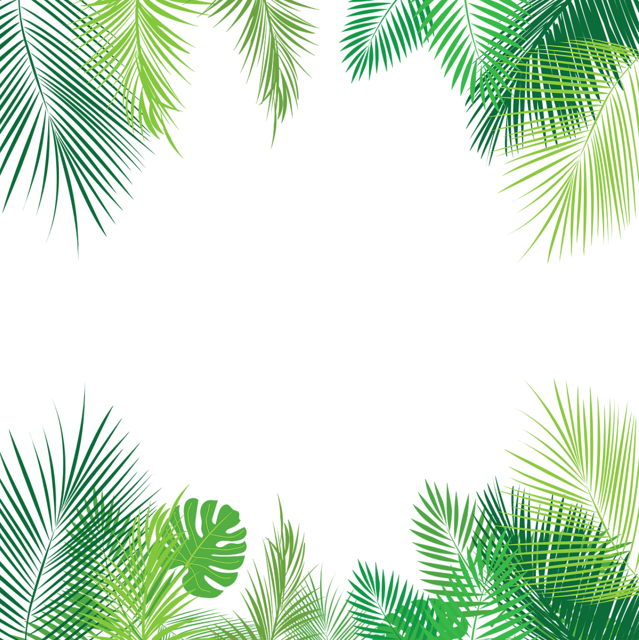 Tropical Leaves Palmleaves Summer Border Sticker By Picsart
