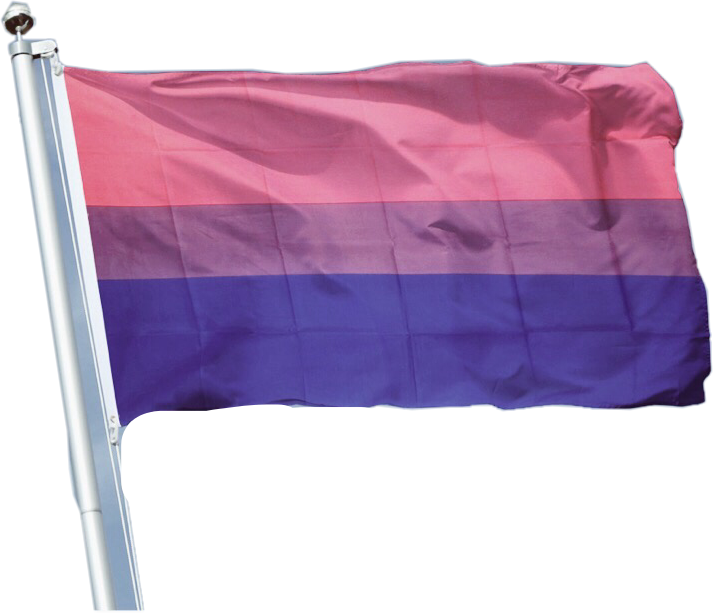 Bisexual Bisexualflag Pride Prideflag Sticker By Chisakanon
