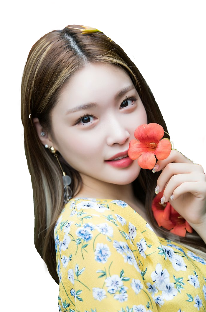 Kim Chungha Png Download Clipart Large Size Png Image Pikpng | Images ...