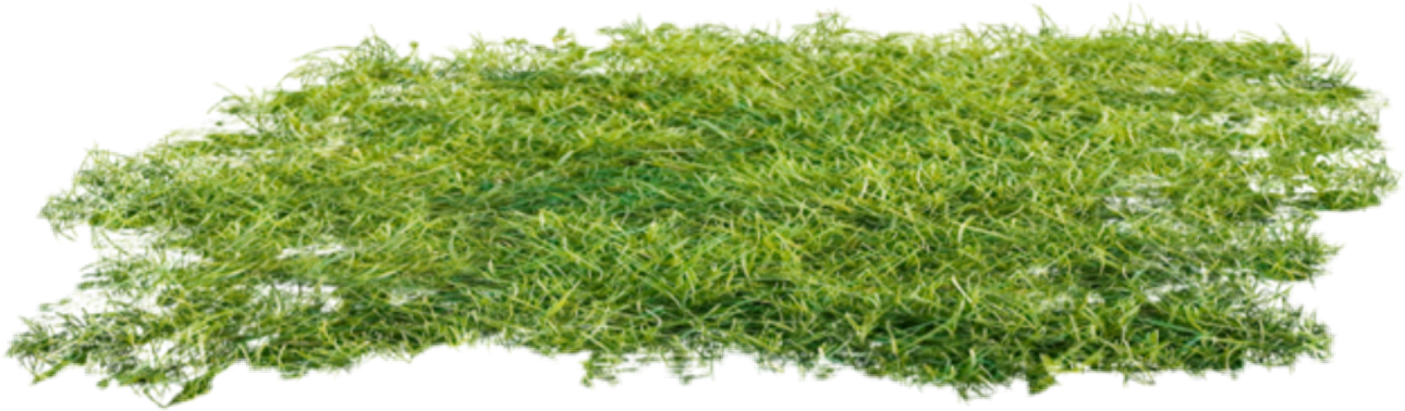 grass freetoedit #grass sticker by @cherigoodman59