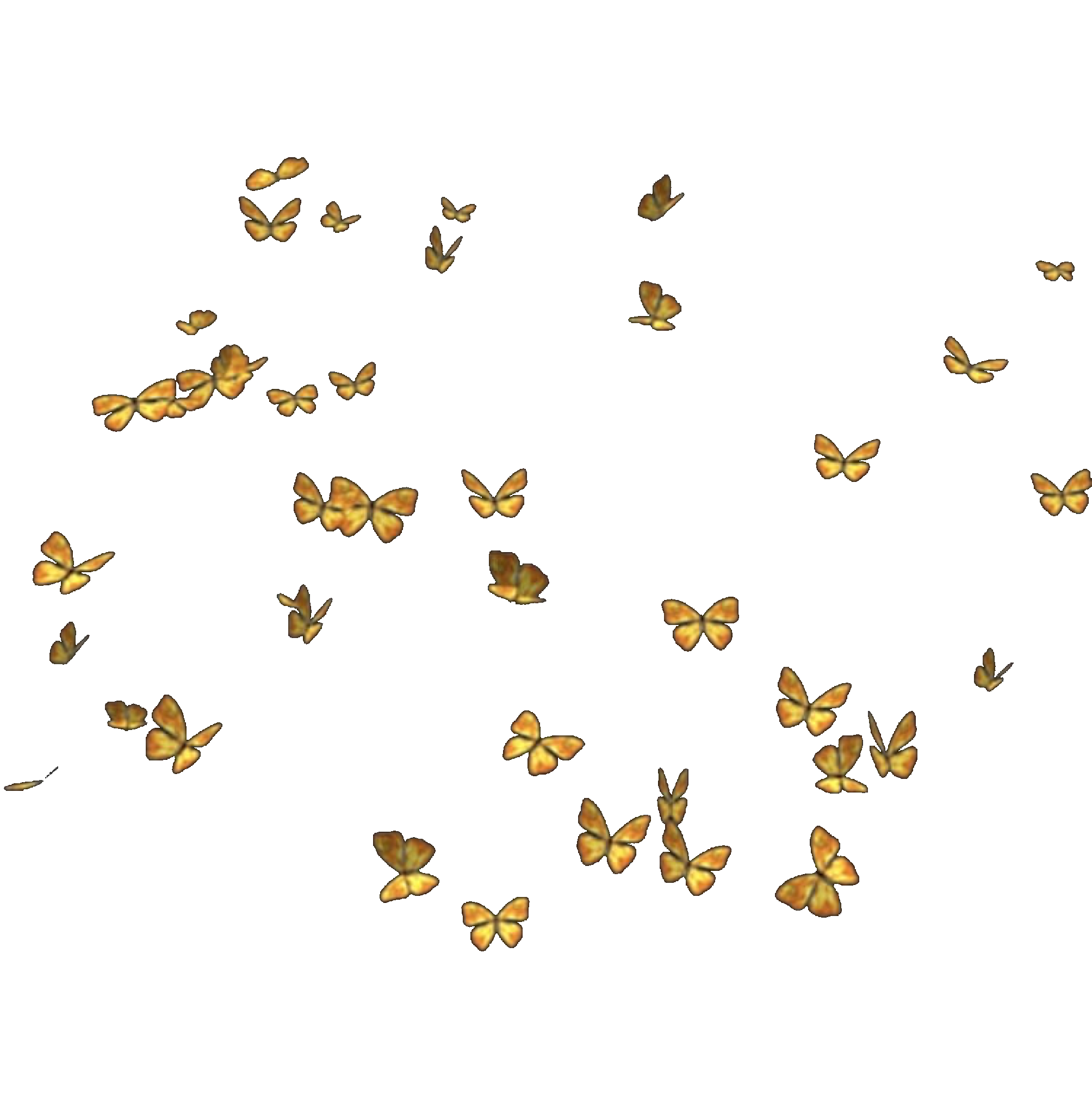 butterfly overlay realistic png