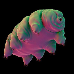 tardigrade microanimal freetoedit