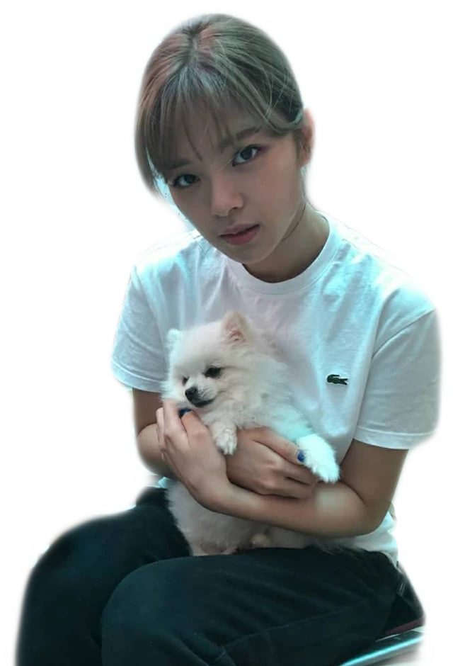 Twice Twicemomo Sticker By Sweet Millon Twice Twice Twicemomo Sticker By Sweet Millon Twice