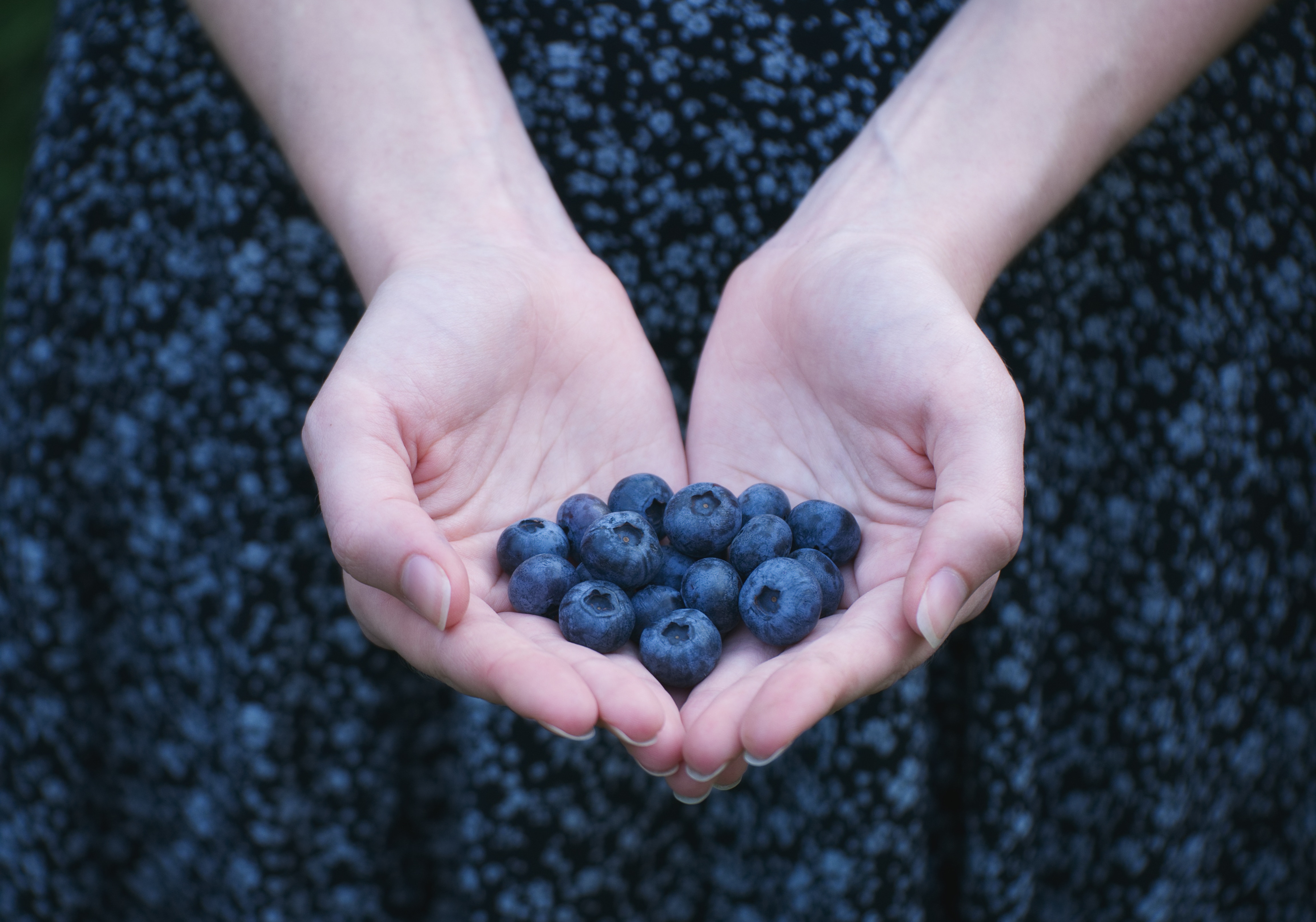 freetoedit blueberry hands bluedress image by @freetoedit.