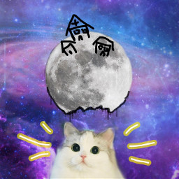 freetoedit cat home dclifeonthemoon lifeonthemoon