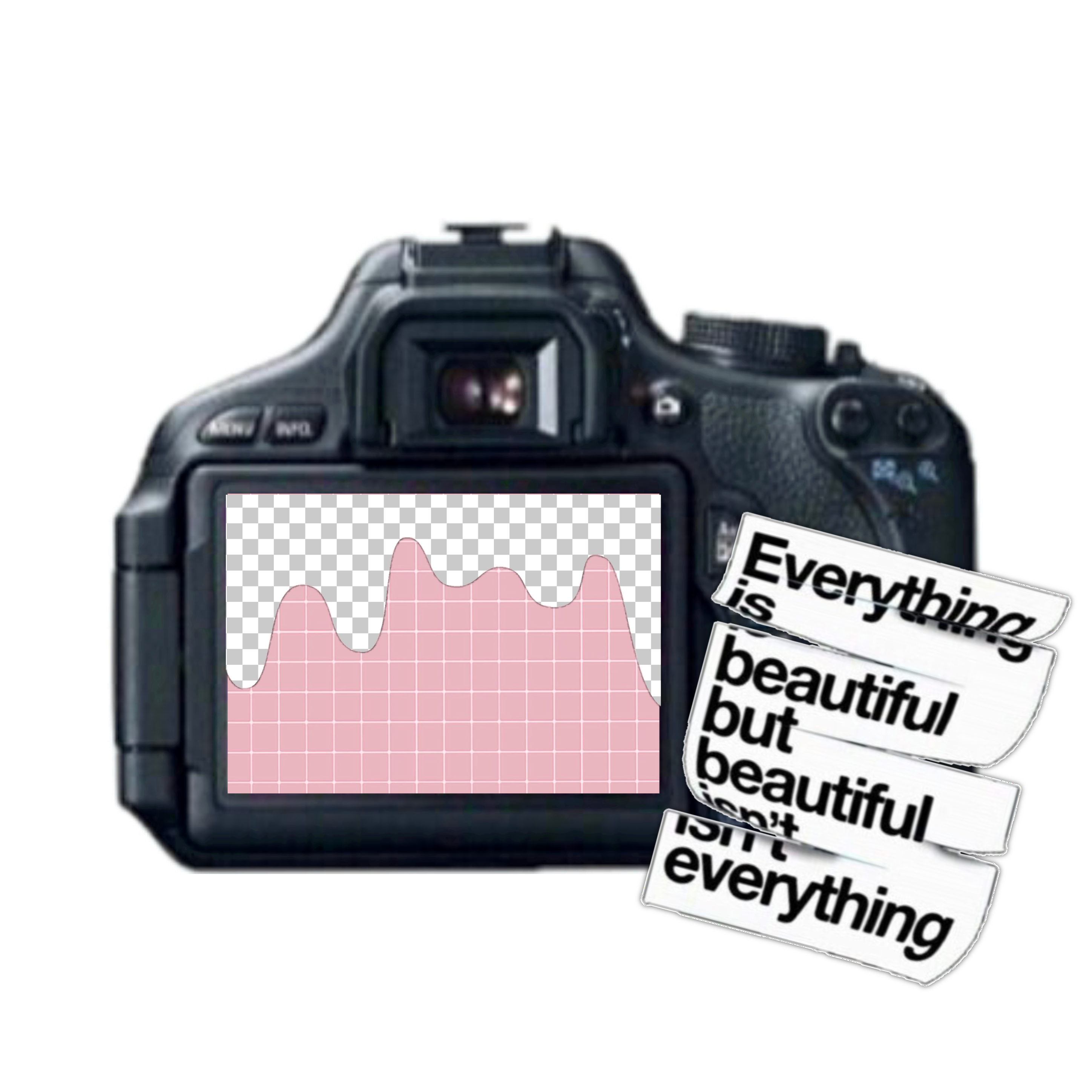 camera picture template edit overlay...