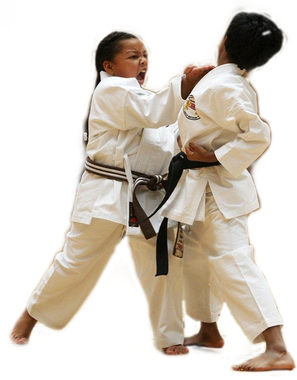 karate girl freetoedit karate sticker by felipemagno28