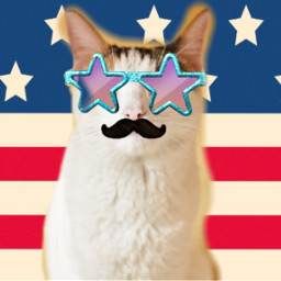 irccatday catday cat america glasses freetoedit