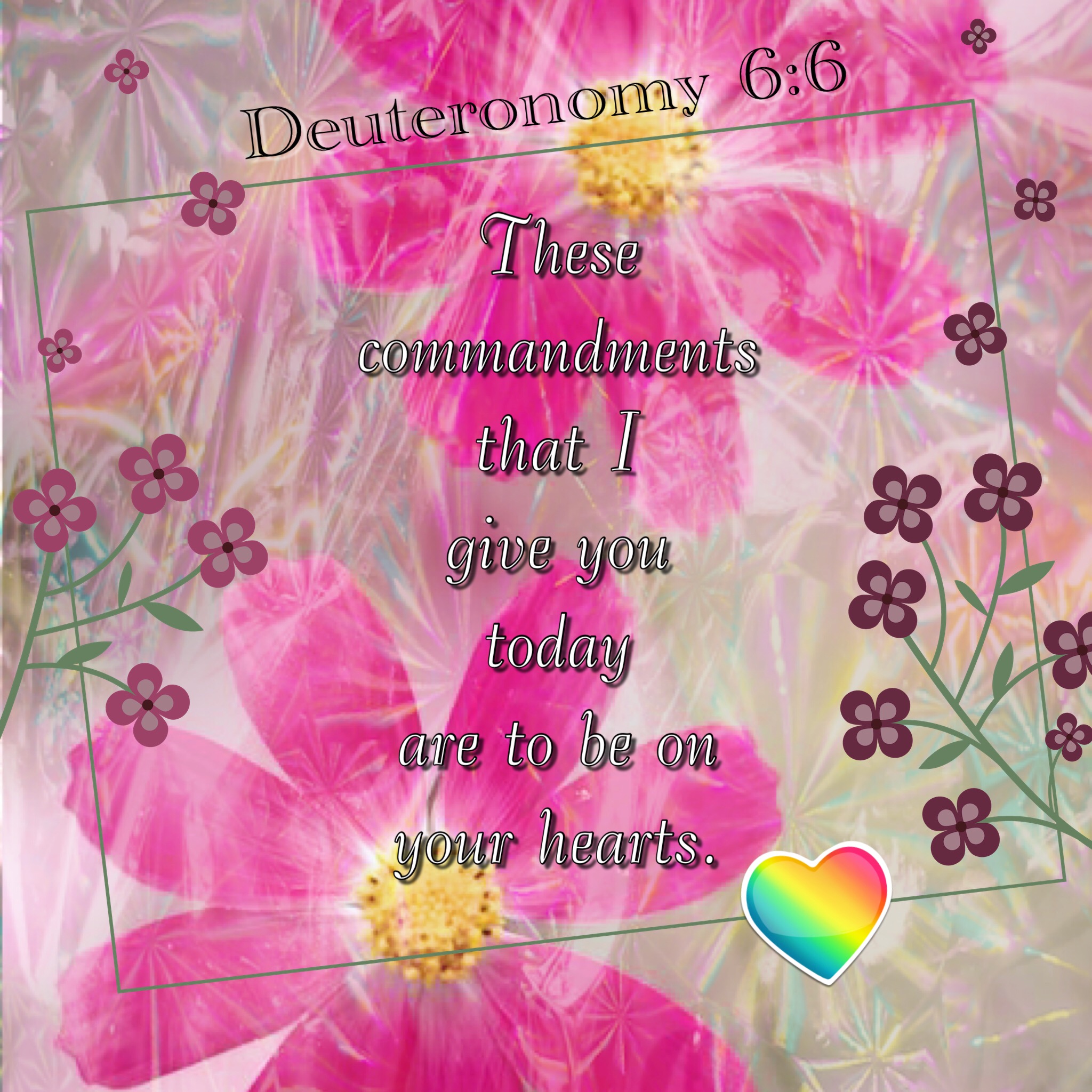 Biblegateway Com Niv - 6xmqc5q