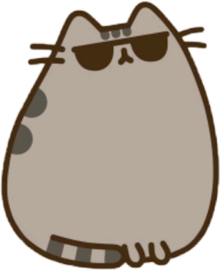 sunglasses pusheen