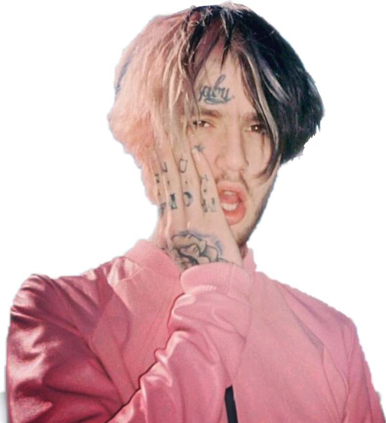 lil peep pink bunny