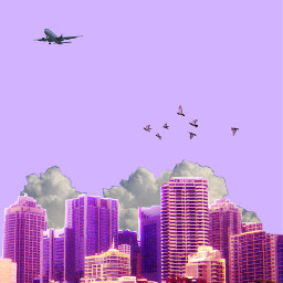 freetoedit city plane birds clouds