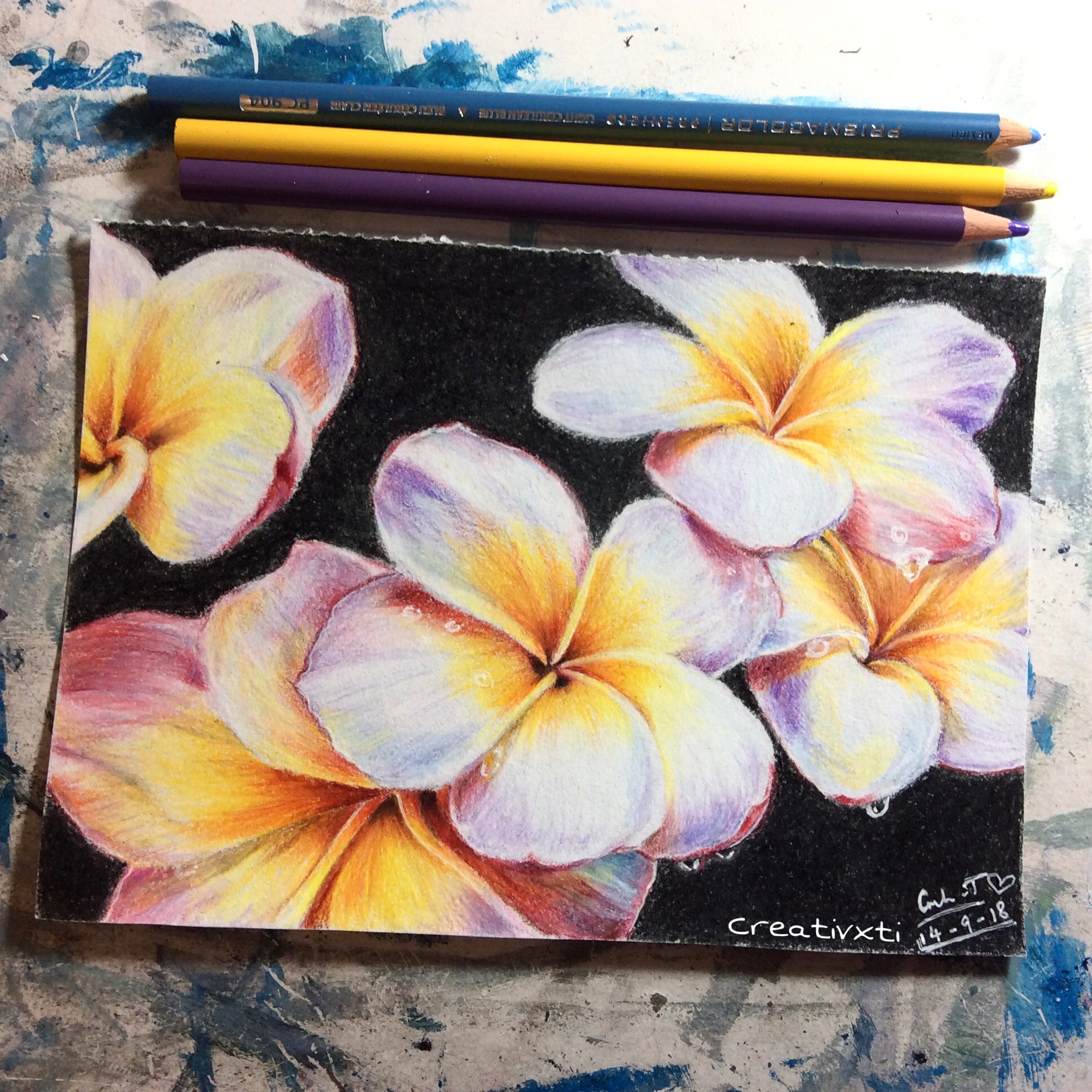 plumeria pencil drawing