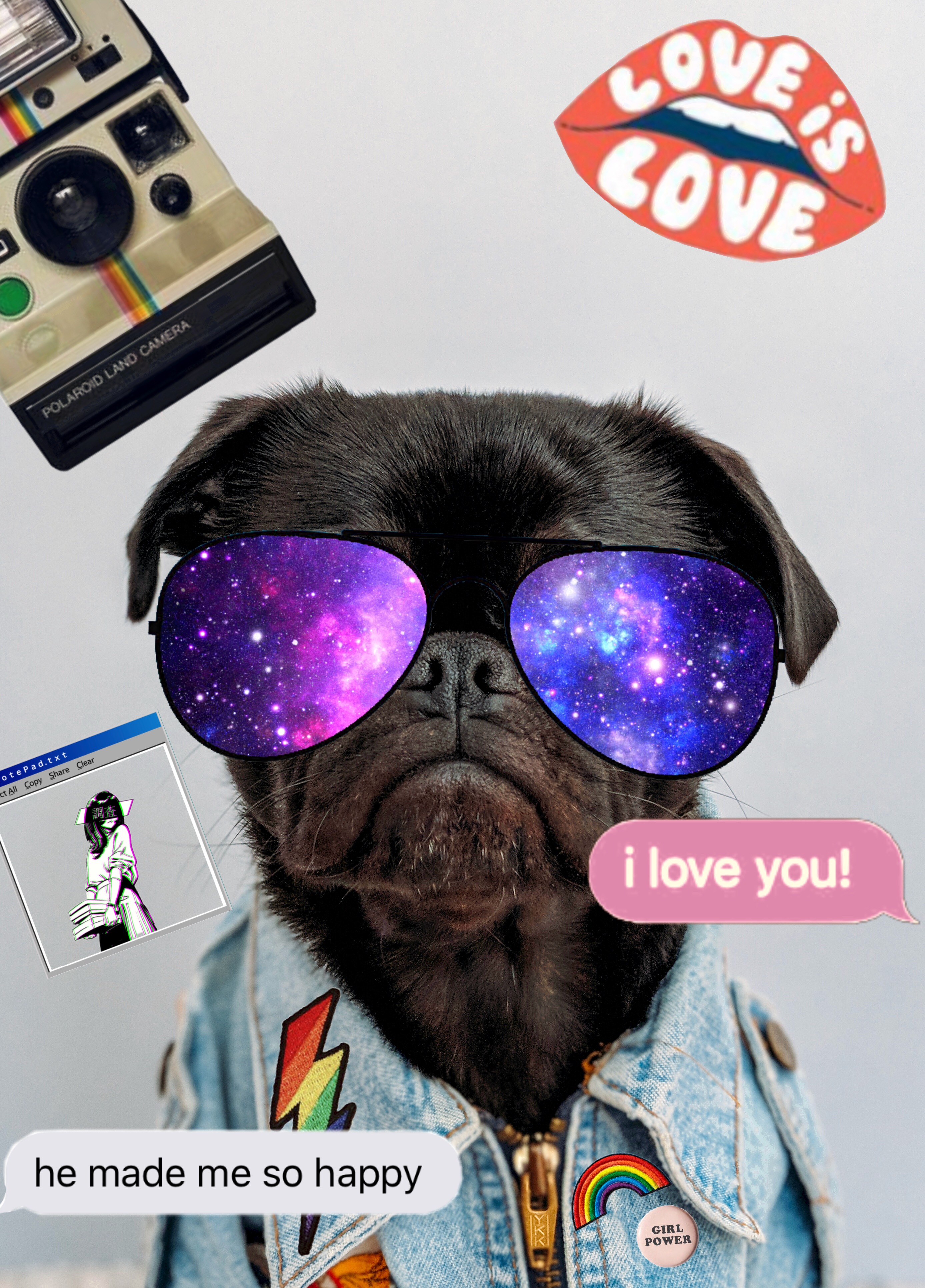 pug sunglasses near me