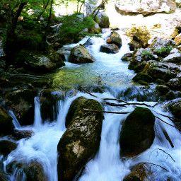 austria hike travel stream forest