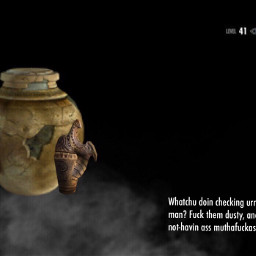 skyrim elderscrolls elderscrollsv loading urns