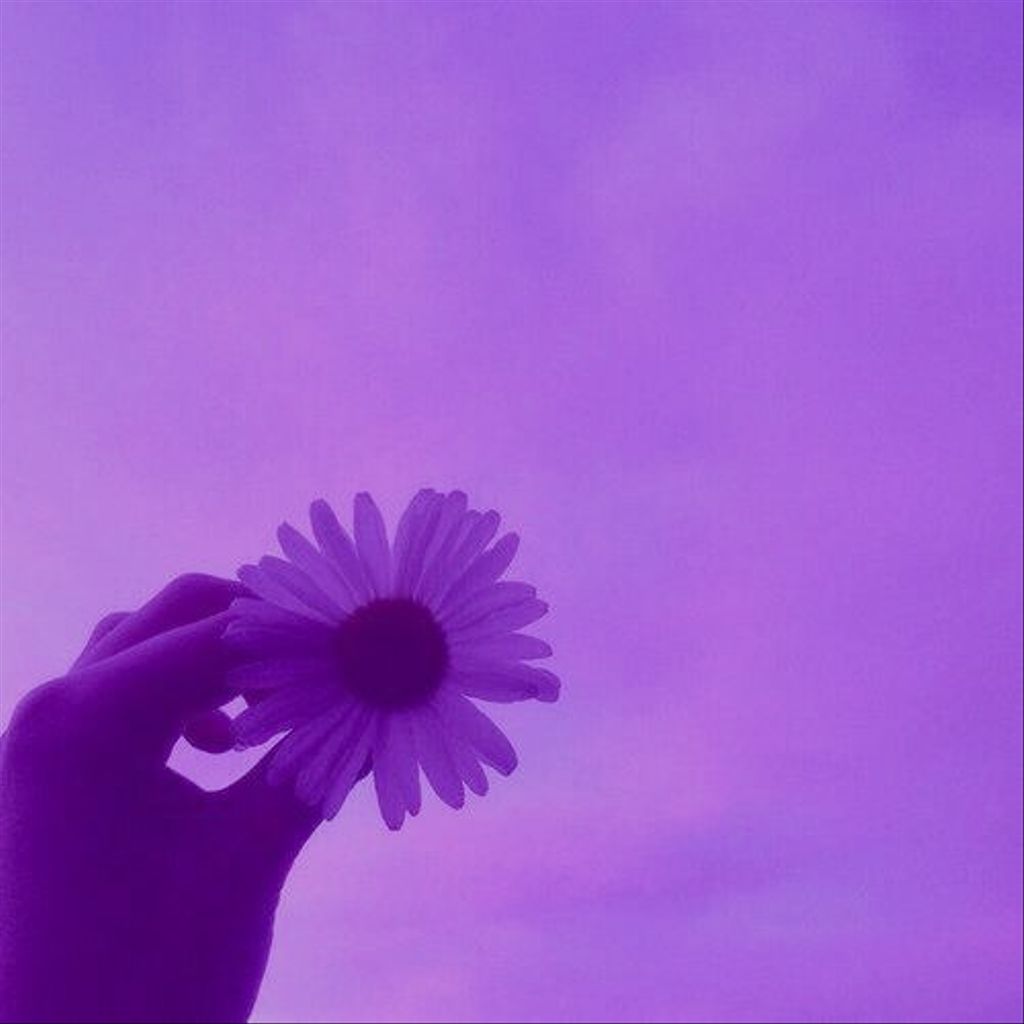 freetoedit flower  purple  aesthetic  background bg 