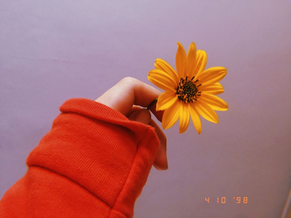 Wolfhardxhoney Love You Flower Tumblr Red Orange Flower Image