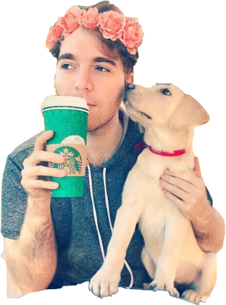 This visual is about shanedawson unothedog uno starbucks flowercrown freeto...