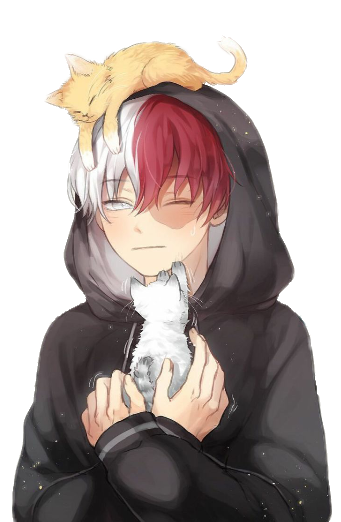 anime boy with cat hoodie