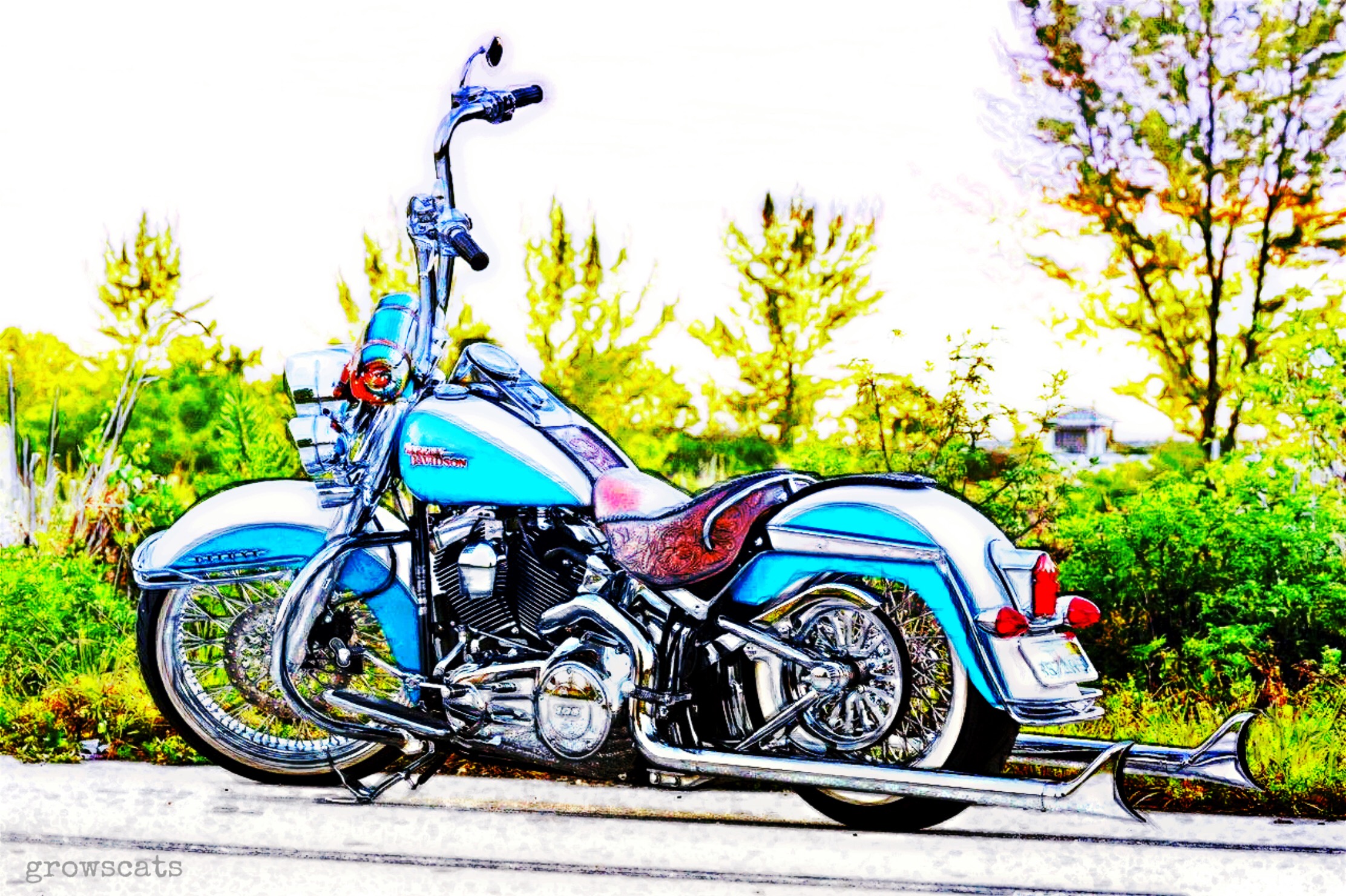 Харлей птица. Харли-Дэвидсон Softail Deluxe. Harley Davidson Softail Deluxe. Harley Davidson Softail Deluxe Custom. Мотоцикл Харлей Дэвидсон софтейл Делюкс.