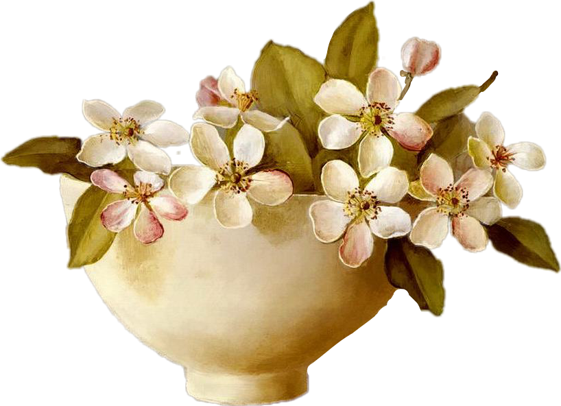 freetoedit flowers bowl flowers sticker by donnalafrance