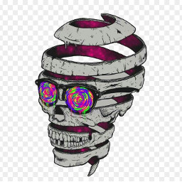 skull art sunglasses colors crazy