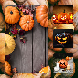freetoedit calabazas pumpkins halloween collage cchalloweenmoodboard ccautumnmoodboard