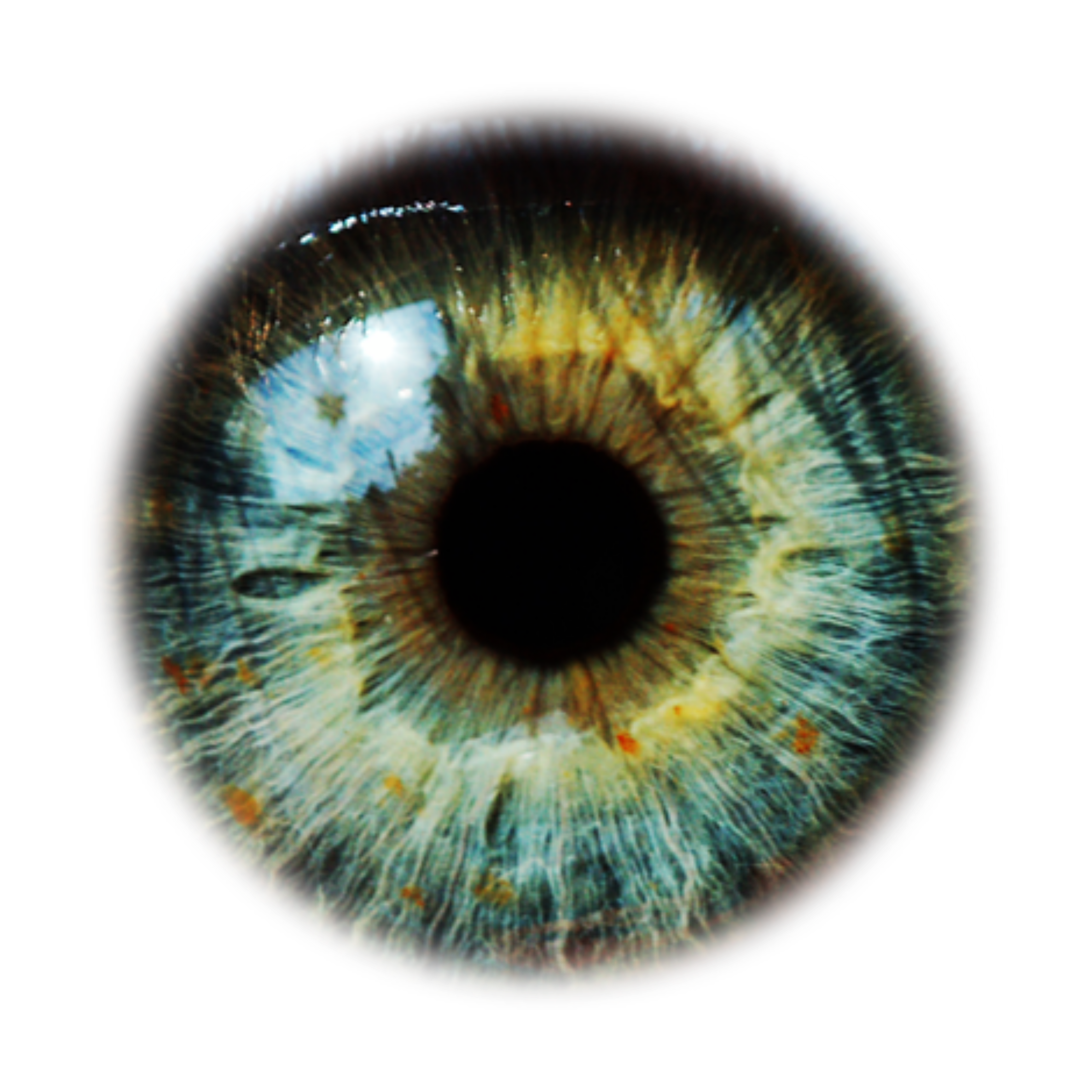 This visual is about eye eyes color colourful lense freetoedit #eye #eyes #...