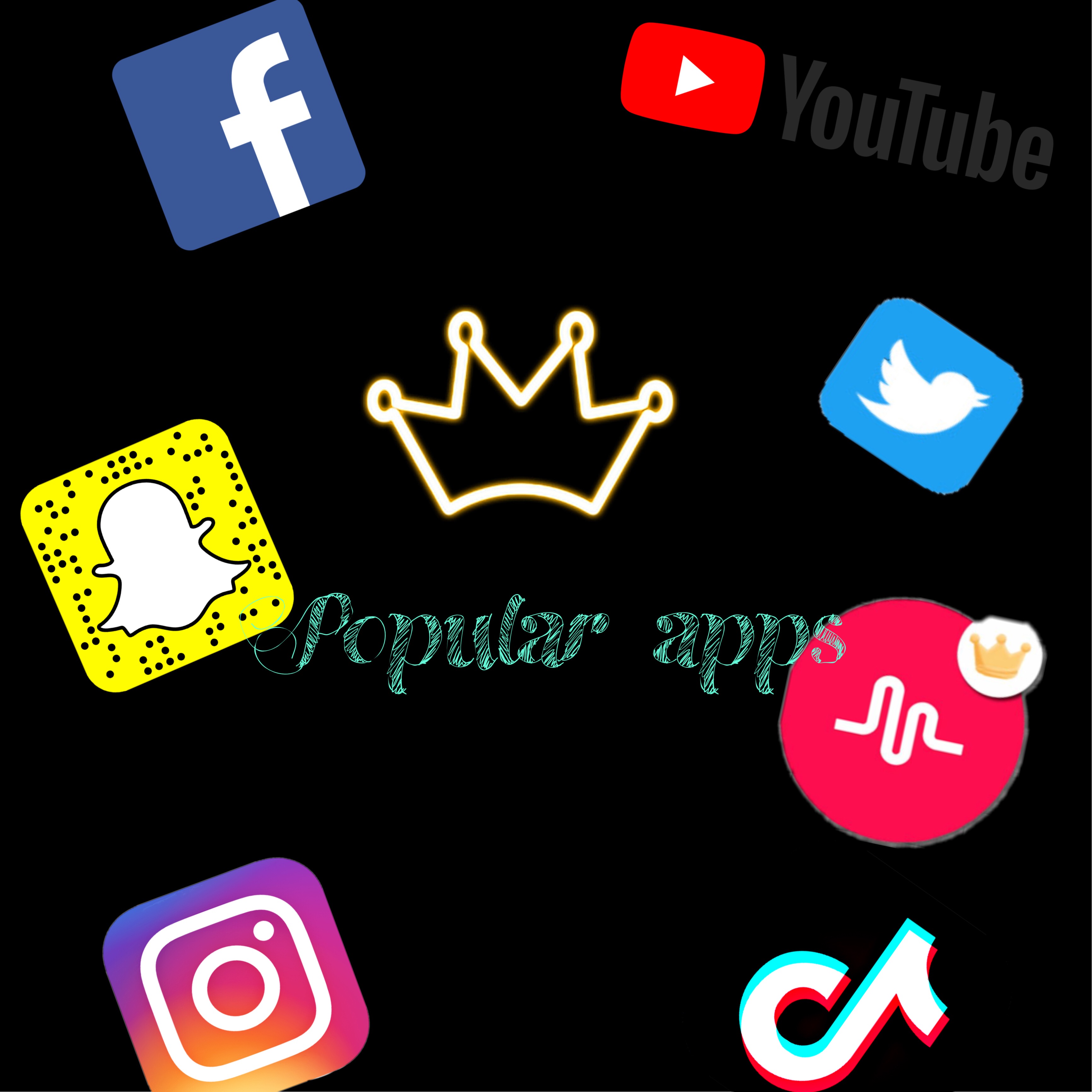 snap instagram download