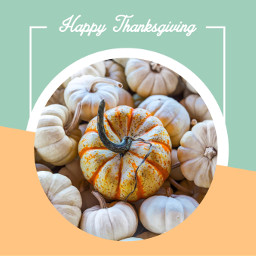 freetoedit thanksgiving happythanksgiving givethanks thanksgivingday