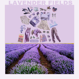 freetoedit moodboard niche aesthetic lavender