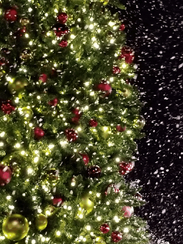 Christmas18 Christmastree Gif By Journnie Summers Christmas18 Christmastree Gif By Journnie Summers