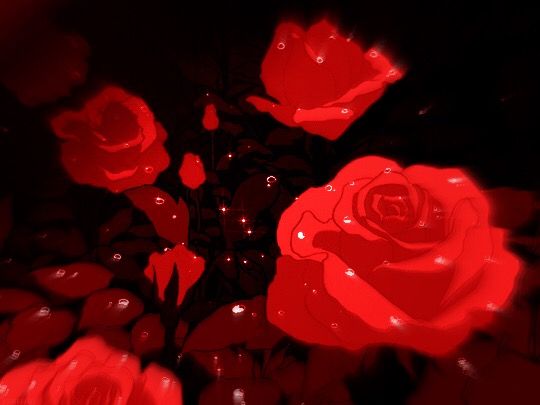 🌹 rose anime animeaesthetic redaesthetic red nature...
