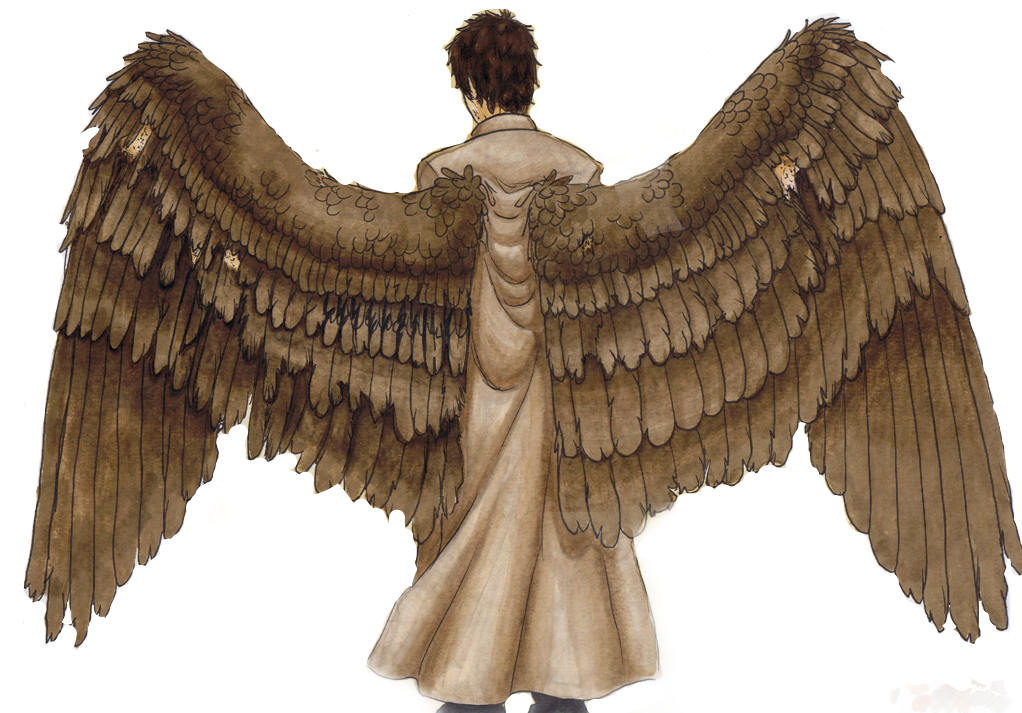 Ангел мужчина спиной. Человек с крыльями. Человек с крыльями рисунок. Человек с ангельскими крыльями. Ангел со спины.
