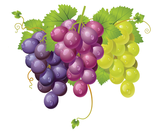 grapes freetoedit #grapes sticker by @crystalboles