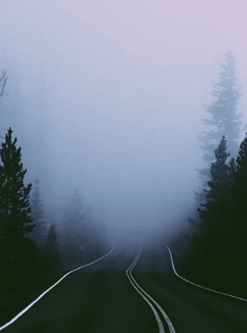 The Misty Road Ahead Gif By Vadlamudiindira The Misty Road Ahead Gif By Vadlamudiindira