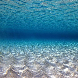 freetoedit background ocean underwater beautiful shallowdepth remixme picsart