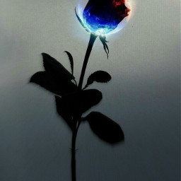 roses ice fire art effects freetoedit