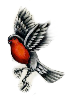 freetoedit bird