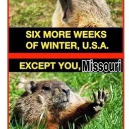 Groundhogs day