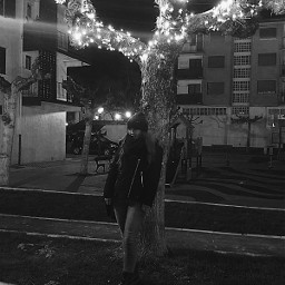 cristmastree cristmas light blackandwhite blackandwhitephotography