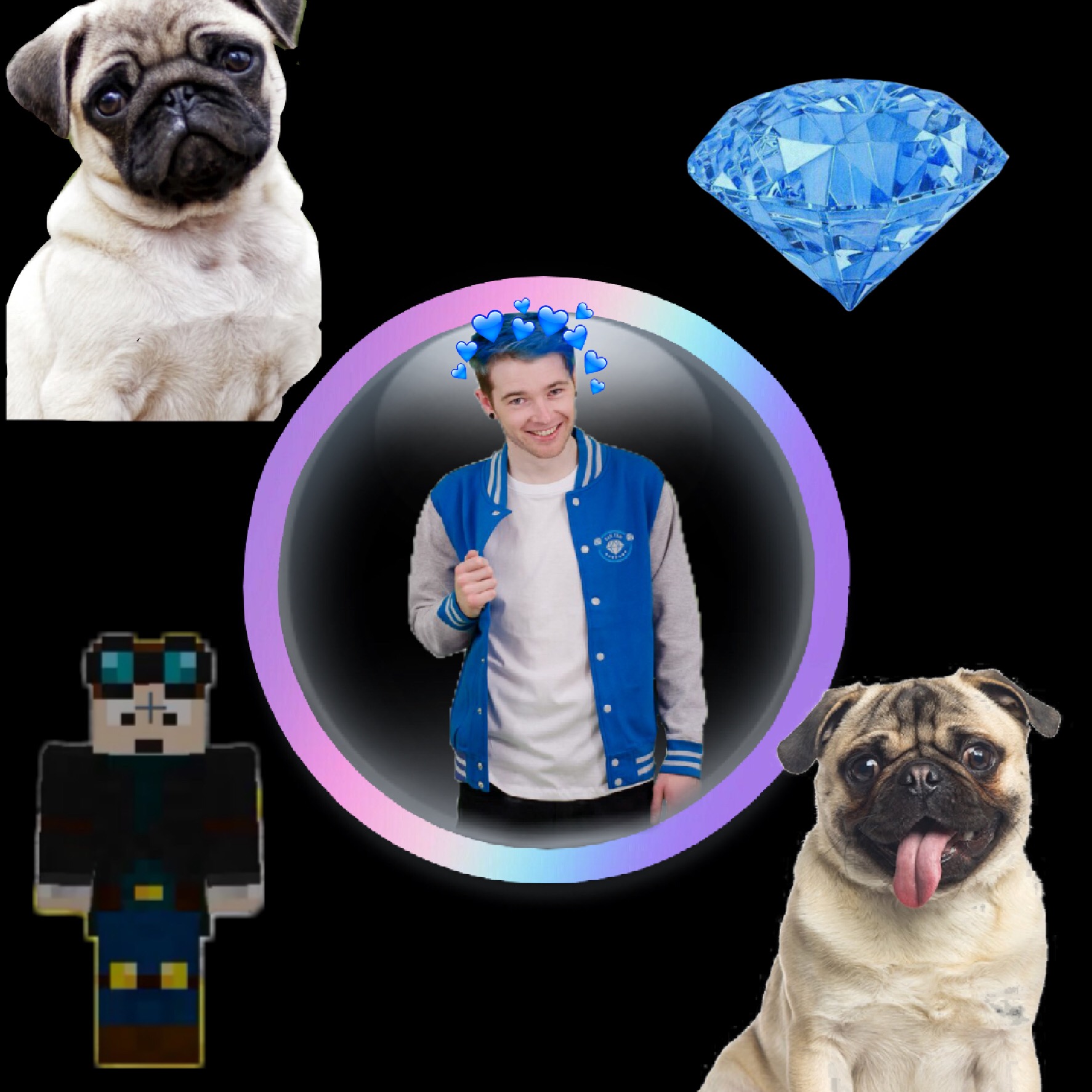 dantdm pugs