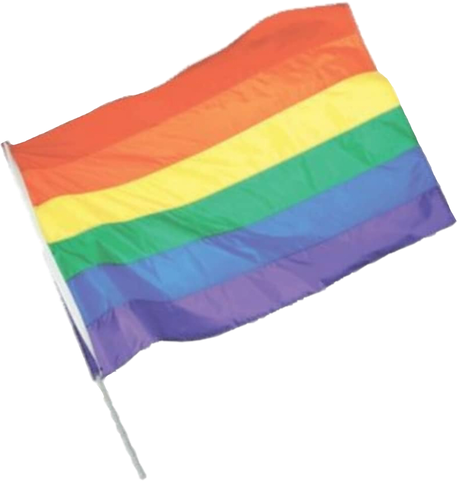 Pride Flag Prideflag Gay Lesbian Sticker By Thepandamodium 