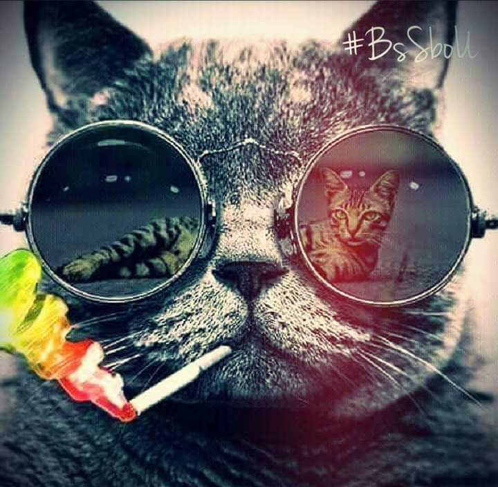Picsart profile picture for @iyad12