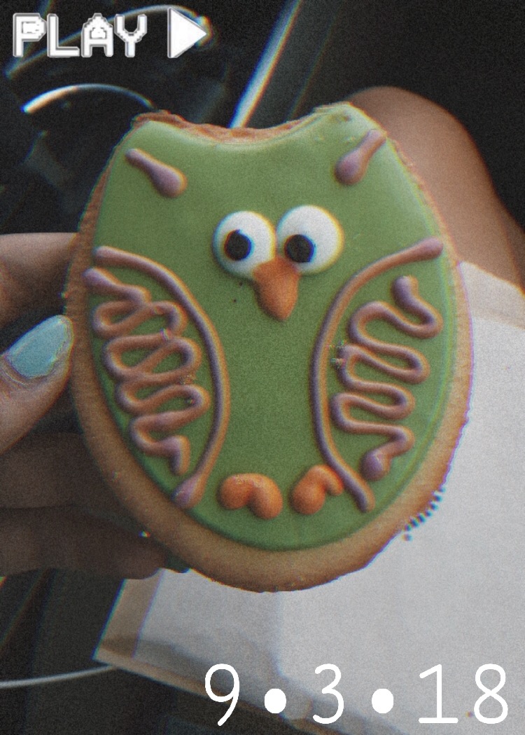 Starbucks Owl Sugar Cookie Freetoedit Cookie Starbuck