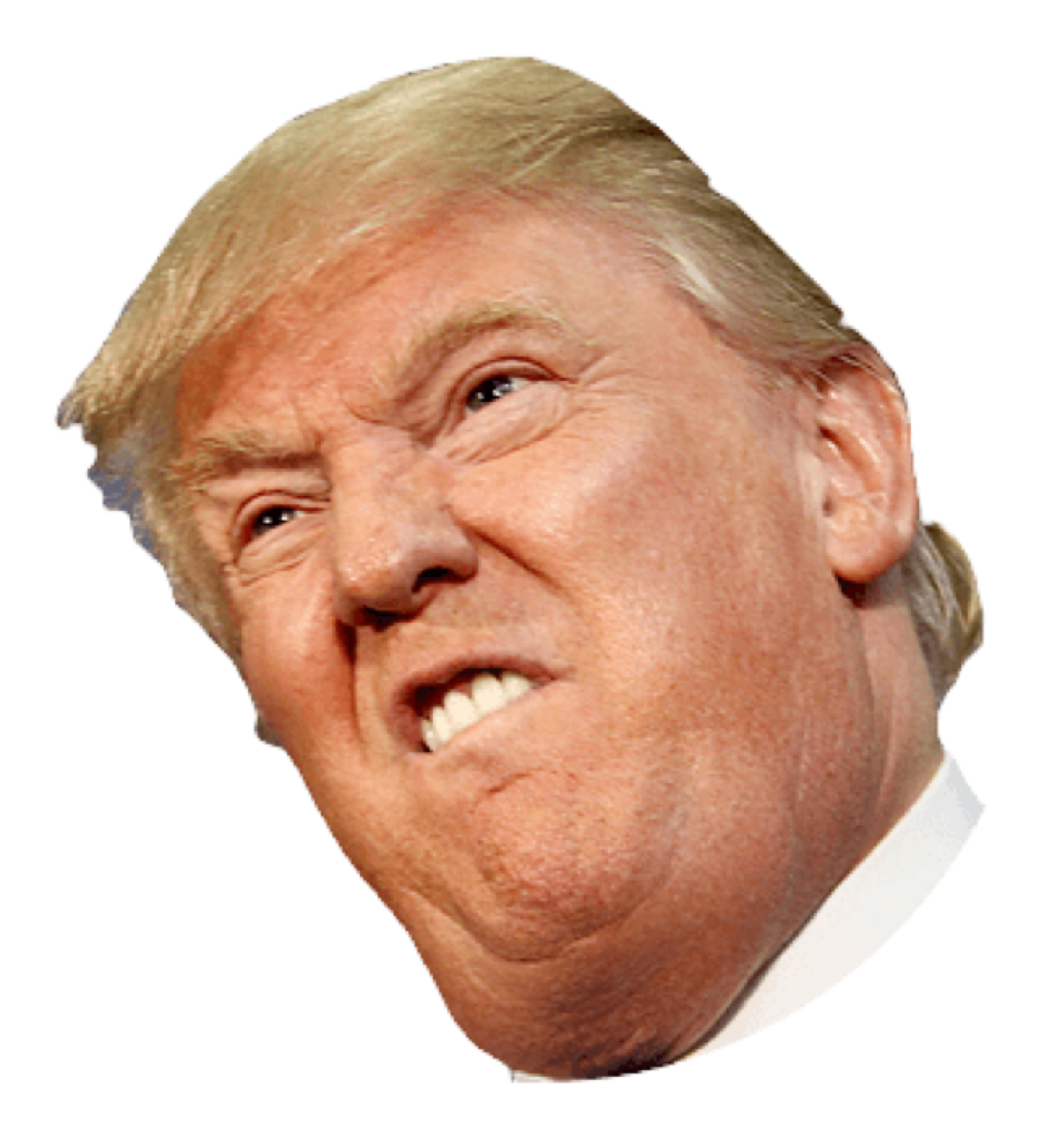 Trump dick face picture